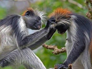 Fotos excepcionales 3