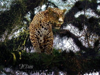 Fotos excepcionales 3