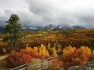 Fotos excepcionales 3