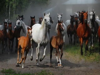 Fotos excepcionales 3