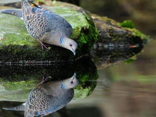 Fotos excepcionales 3