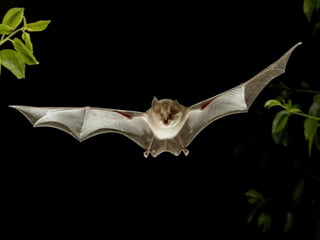 Fotos excepcionales 3