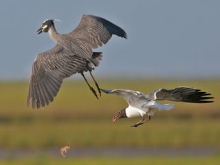 Fotos excepcionales 3