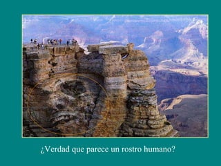¿Verdad que parece un rostro humano?
 