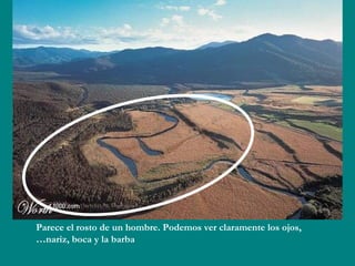 Parece el rosto de un hombre. Podemos ver claramente los ojos,
nariz, boca y la barba…
 