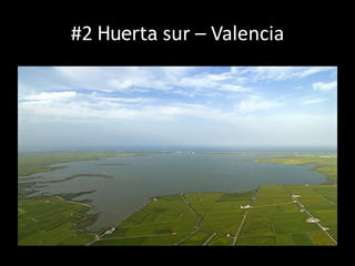 #2 Huerta sur – Valencia
 