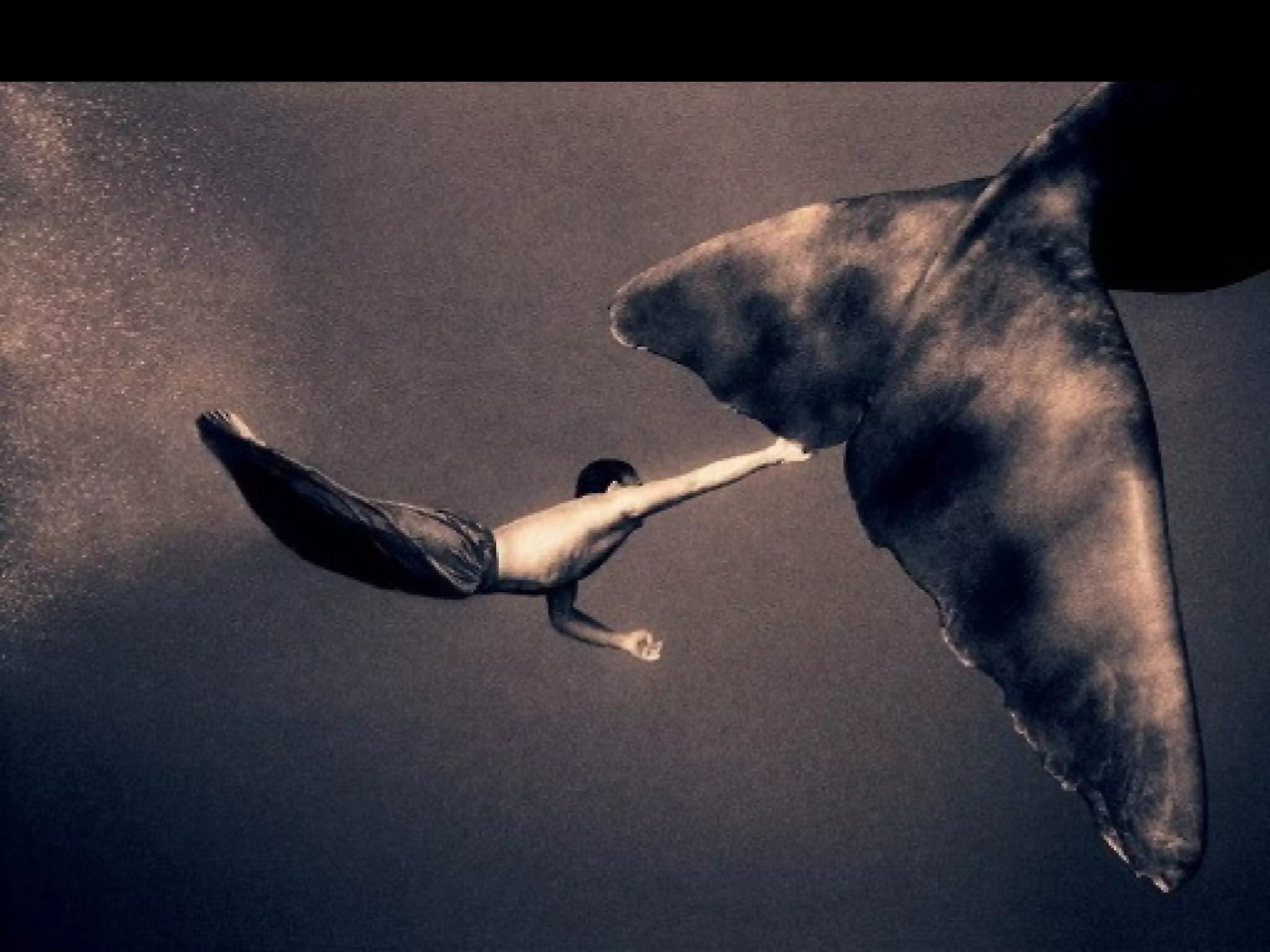 Fotos Gregory Colbert