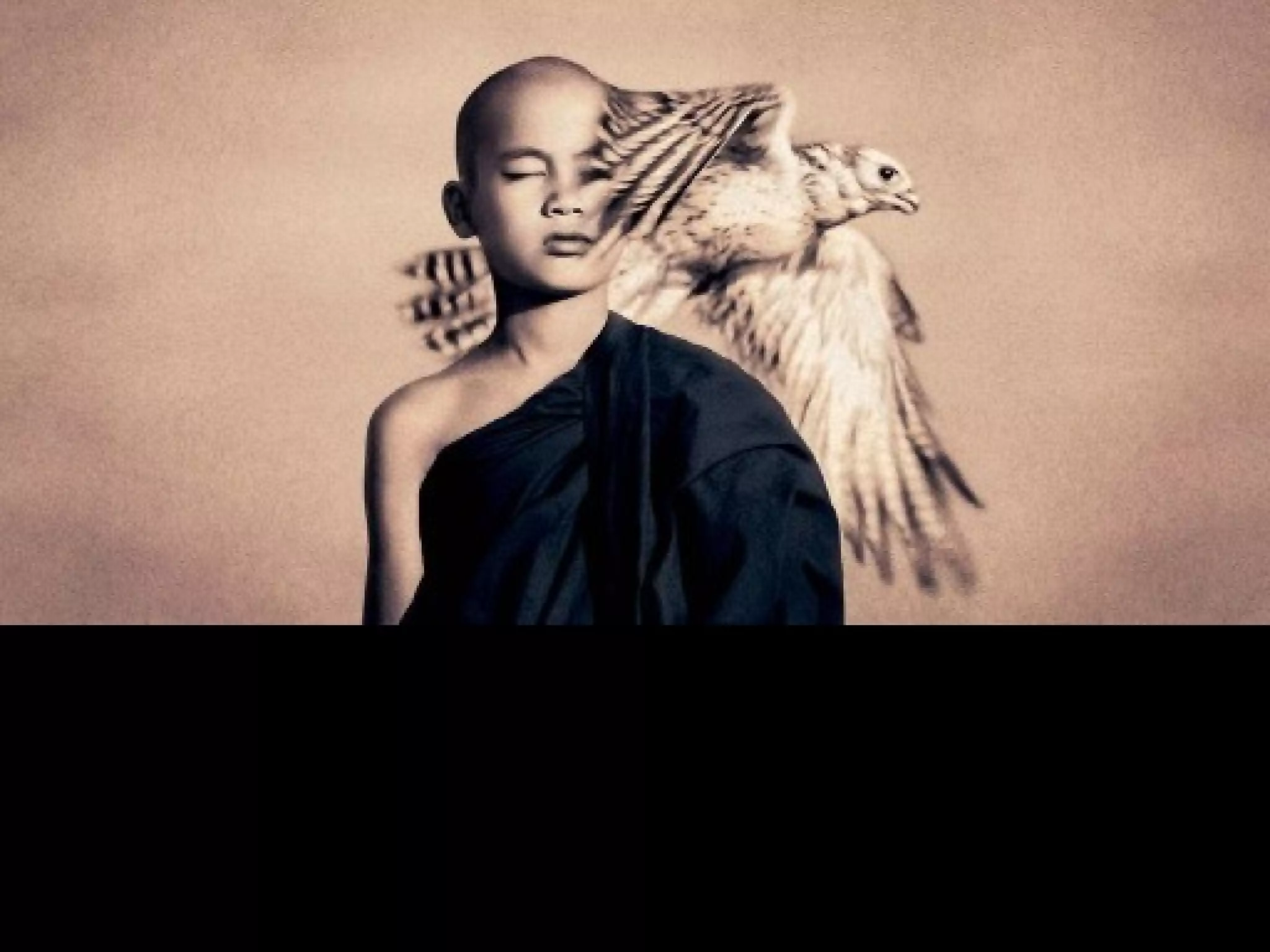 Fotos Gregory Colbert