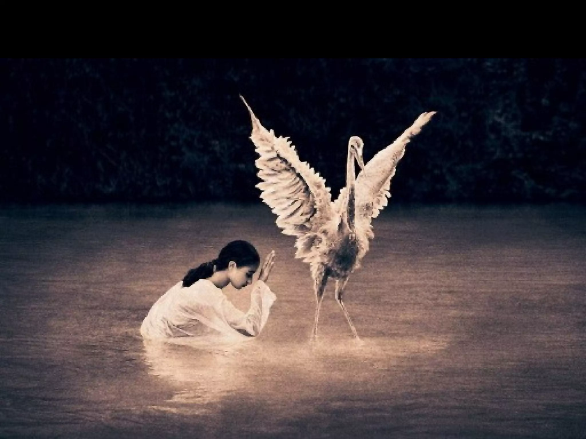 Fotos Gregory Colbert