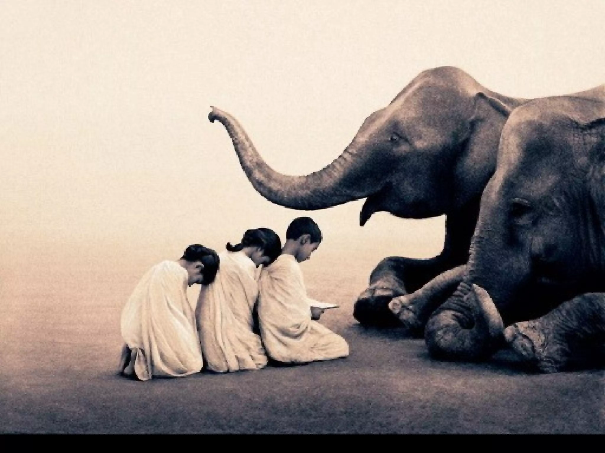 Fotos Gregory Colbert