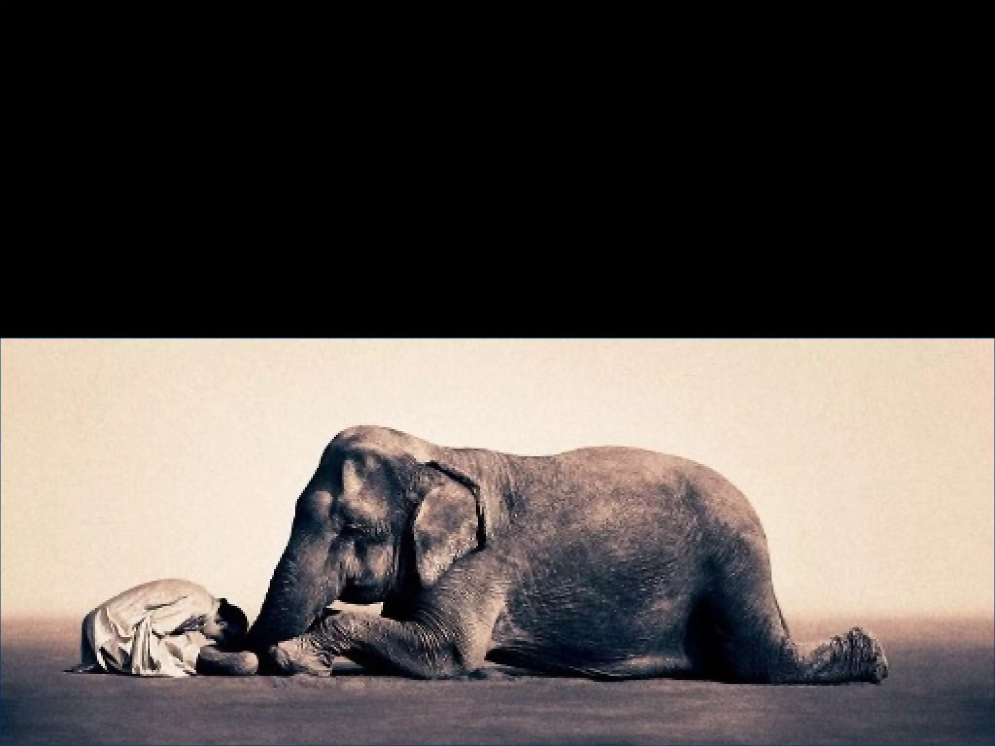 Fotos Gregory Colbert