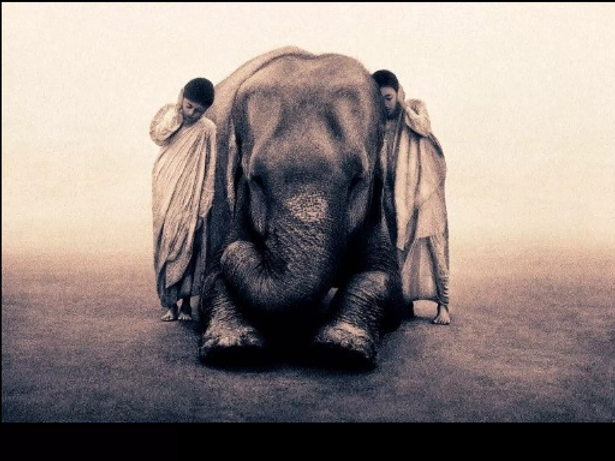 Fotos Gregory Colbert