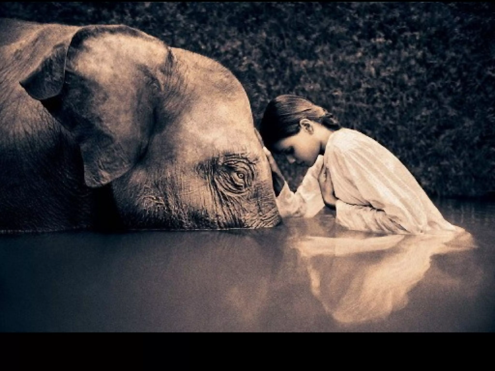 Fotos Gregory Colbert