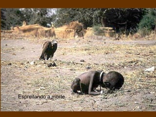 Espreitando a morte
 