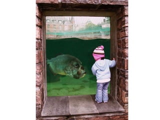 Fotoshop 1209474579196149-8