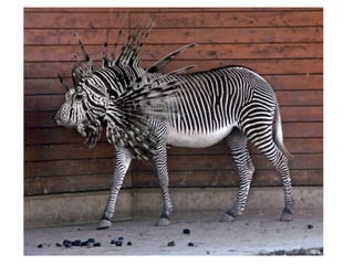 Fotoshop 1209474579196149-8