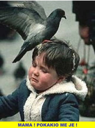 MAMA ! POKAKIO ME JE ! 
