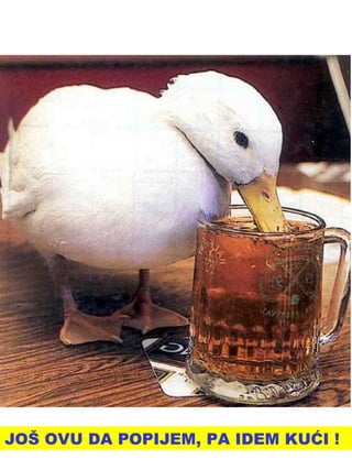 JOŠ OVU DA POPIJEM, PA IDEM KUĆI ! 