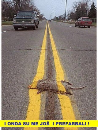 I ONDA SU ME JOŠ  I PREFARBALI ! 