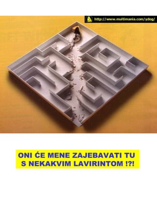 ONI ĆE MENE ZAJEBAVATI TU  S NEKAKVIM LAVIRINTOM !?! 