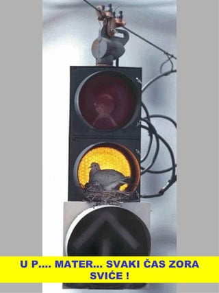 U P.... MATER… SVAKI ČAS ZORA SVIĆE ! 