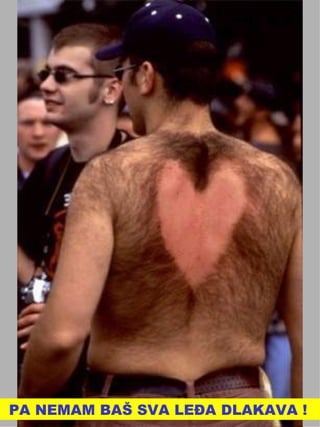 PA NEMAM BAŠ SVA LEĐA DLAKAVA ! 