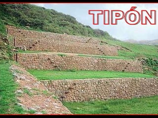 TIPÓN 