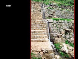 Tipón 