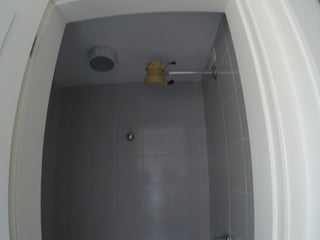 Fotos inicio  22out2015