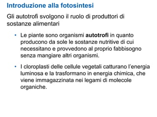 Introduzione alla fotosintesi
Gli autotrofi svolgono il ruolo di produttori di
sostanze alimentari
• Le piante sono organismi autotrofi in quanto
producono da sole le sostanze nutritive di cui
necessitano e provvedono al proprio fabbisogno
senza mangiare altri organismi.
• I cloroplasti delle cellule vegetali catturano l’energia
luminosa e la trasformano in energia chimica, che
viene immagazzinata nei legami di molecole
organiche.
 