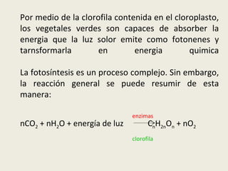 Por medio de la clorofila contenida en el cloroplasto, los vegetales verdes son capaces de absorber la energia que la luz solor emite como fotonenes y tarnsformarla en energia quimica La fotosíntesis es un proceso complejo. Sin embargo, la reacción general se puede resumir de esta manera: nCO 2  + nH 2 O + energía de luz  C n H 2n O n  + nO 2   enzimas clorofila 
