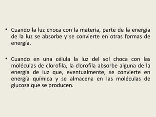 Cuando la luz choca con la materia, parte de la energía de la luz se absorbe y se convierte en otras formas de energía. Cuando en una célula la luz del sol choca con las moléculas de clorofila, la clorofila absorbe alguna de la energía de luz que, eventualmente, se convierte en energía química y se almacena en las moléculas de glucosa que se producen. 