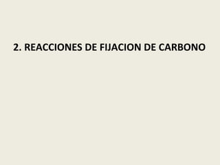 2. REACCIONES DE FIJACION DE CARBONO 