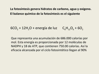 La fotosíntesis genera hidratos de carbono, agua y oxigeno. El balance químico de la fotosíntesis es el siguiente 6CO 2  + 12H 2 O + energía de luz  C 6 H 12 O 6  + 6O 2   Que representa una acumulación de 686.000 calorías por mol. Esta energía es proporcionada por 12 moléculas de NADPH y 18 de ATP, que contienen 750.00 calorías. Así la eficacia alcanzada por el ciclo fotosintético llegan al 90% 