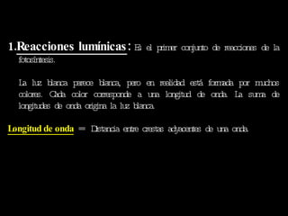 The Photosynthesis Reactions: 1. Reacciones lumínicas :  Es el primer conjunto de reacciones de la fotosíntesis.  La luz blanca parece blanca, pero en realidad está formada por muchos colores. Cada color corresponde a una longitud de onda. La suma de longitudes de onda origina la luz blanca. Longitud de onda  =  Distancia entre crestas adyacentes de una onda. 