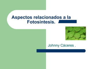 Johnny Cáceres . Aspectos relacionados a la Fotosíntesis. 
