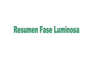 Resumen Fase Luminosa 