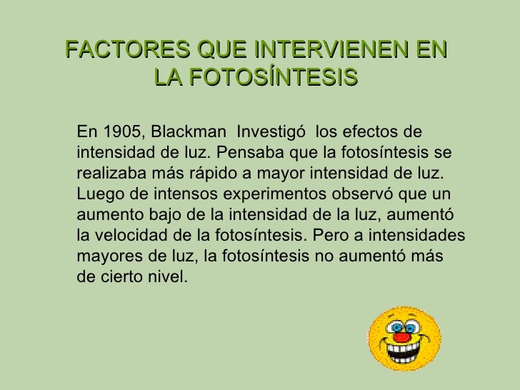 Fotosintesis