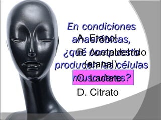 En condicionesEn condiciones
anaeróbicas,anaeróbicas,
¿qué compuesto¿qué compuesto
producen las célulasproducen las células
musculares?musculares?
A. Etanol
B. Acetaldehído
(etanal)
C. Lactato
D. Citrato
 