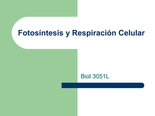 Fotosíntesis y Respiración Celular
Biol 3051L
 
