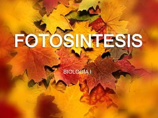 FOTOSINTESIS BIOLOGIA I 