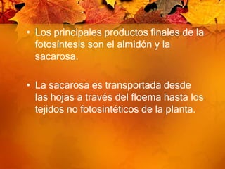 EXPERIMENTOSDE PRIESTLEY:DE VAN HELMONT: