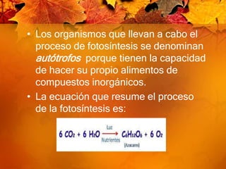 Los organismos que llevan a cabo el proceso de fotosíntesis se denominan autótrofos porque tienen la capacidad de hacer su propio alimentos de compuestos inorgánicos.La ecuación que resume el proceso de la fotosíntesis es:   