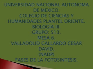 UNIVERSIDAD NACIONAL AUTONOMA
           DE MEXICO.
      COLEGIO DE CIENCIAS Y
 HUMANIDADES PLANTEL ORIENTE.
           BIOLOGIA III.
           GRUPO: 513.
             MESA 6.
  VALLADOLID GALLARDO CESAR
              DAVID.
              (NADP)
    FASES DE LA FOTOSINTESIS.
 