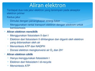 Aliran elektron
∗ Terdapat dua rute jalur elektron yang tersimpan pada akseptor
  elektron primer
∗ Kedua jalur
  ∗ Dimulai dengan penangkapan energi foton
  ∗ Menggunakan rantai transport elektron dengan sitokrom untuk
     kemiosmosis
∗ Aliran elektron nonsiklik
  ∗ Menggunakan fotosistem II dan I
  ∗ Elektron dari fotosistem II dihilangkan dan diganti oleh elektron
     yang didonasikan oleh air
  ∗ Mensintesis ATP dan NADPH
  ∗ Donasi elektron mengkonversi air O2 dan 2H+
∗ Aliran elektron siklik
  ∗ Hanya menggunakan fotosistem I
  ∗ Elektron dari fotosistem I di-recycle
  ∗ Mensintesis ATP
 