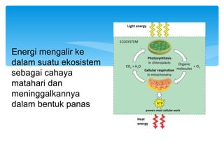 Light energy



                        ECOSYSTEM


Energi mengalir ke
                                          Photosynthesis
dalam suatu ekosistem      CO2 + H2O
                                          in chloroplasts    Organic
                                                                      + O2
                                       Cellular respiration molecules
sebagai cahaya                          in mitochondria

matahari dan
meninggalkannya
dalam bentuk panas                             ATP
                                       powers most cellular work

                                 Heat
                                 energy
 