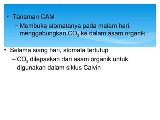 • Tanaman CAM
   – Membuka stomatanya pada malam hari,
     menggabungkan CO2 ke dalam asam organik

• Selama siang hari, stomata tertutup
  – CO2 dilepaskan dari asam organik untuk
    digunakan dalam siklus Calvin
 