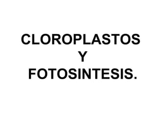 CLOROPLASTOS
      Y
 FOTOSINTESIS.
 