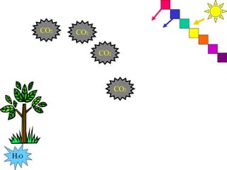 H 2 O CO 2 CO 2 CO 2 CO 2 