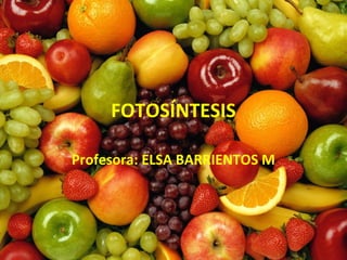 FOTOSÍNTESIS
Profesora: ELSA BARRIENTOS M
 
